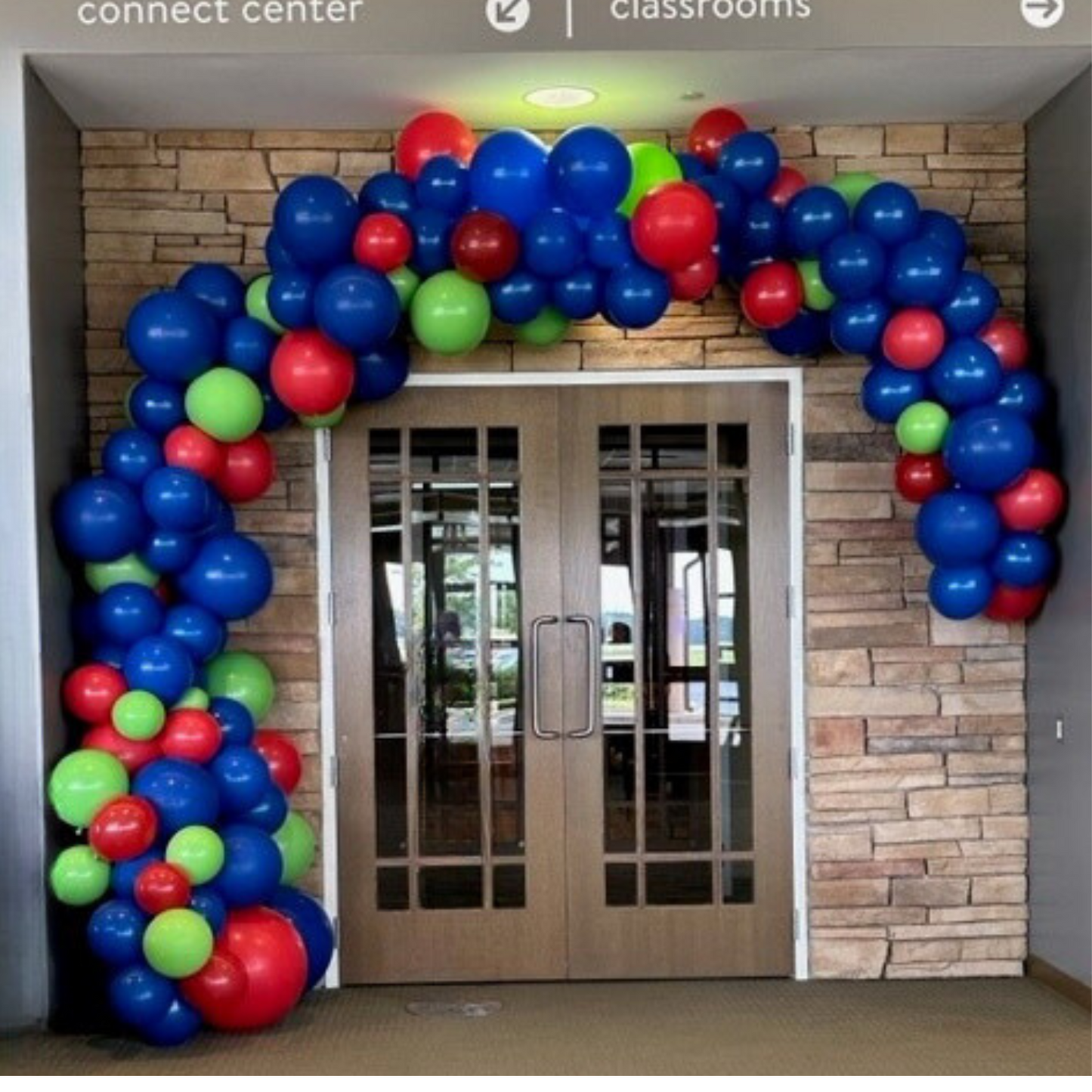 Organic Balloon Designs