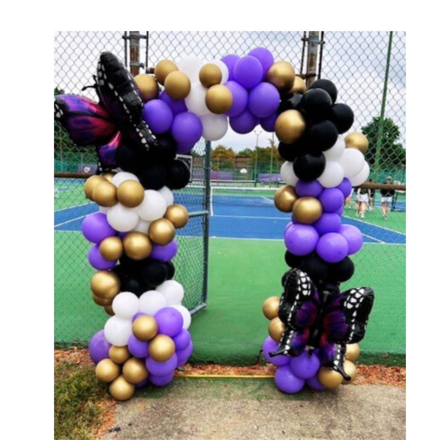 Organic Balloon Designs